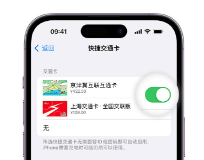 新民apple维修点分享iPhone上更换Apple Pay快捷交通卡手绘卡面 