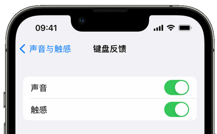 新民苹果手机维修分享iPhone 14触感键盘使用方法 