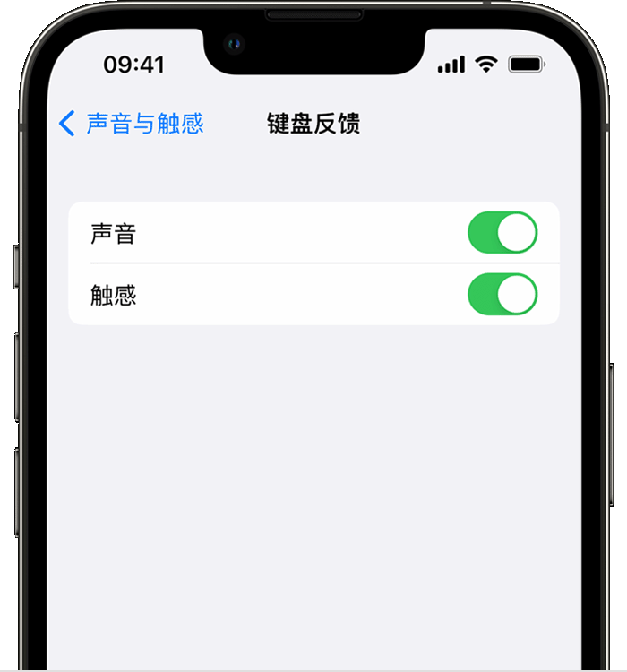 新民苹果14维修店分享如何在 iPhone 14 机型中使用触感键盘 