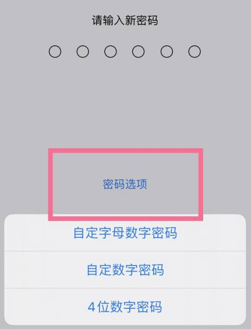 新民苹果14维修分享iPhone 14plus设置密码的方法 