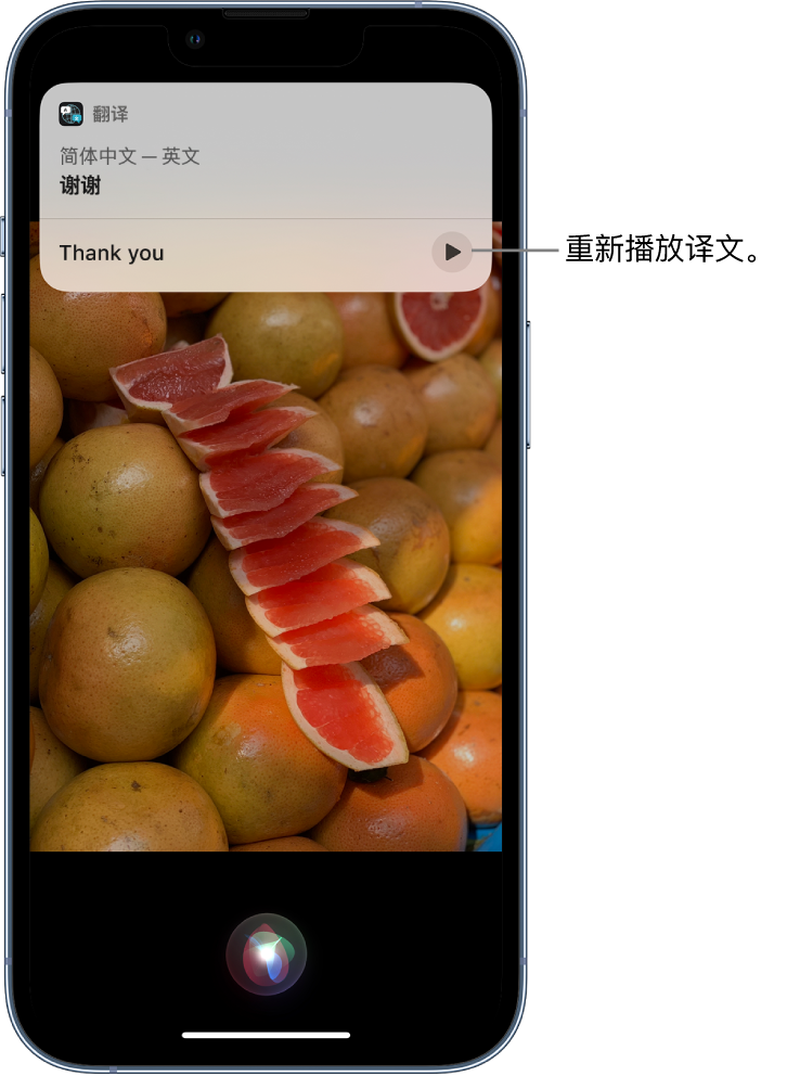 新民苹果14维修分享 iPhone 14 机型中使用 Siri：了解 Siri 能帮你做什么 