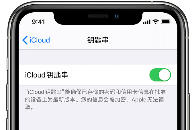 新民苹果手机维修分享在 iPhone 上开启 iCloud 钥匙串之后会储存哪些信息 